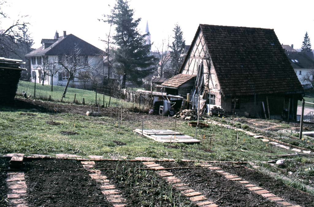 Blick vom Garten des Hauses Waßmer zu den Nachbargrundstücken im Maienland, April 1986