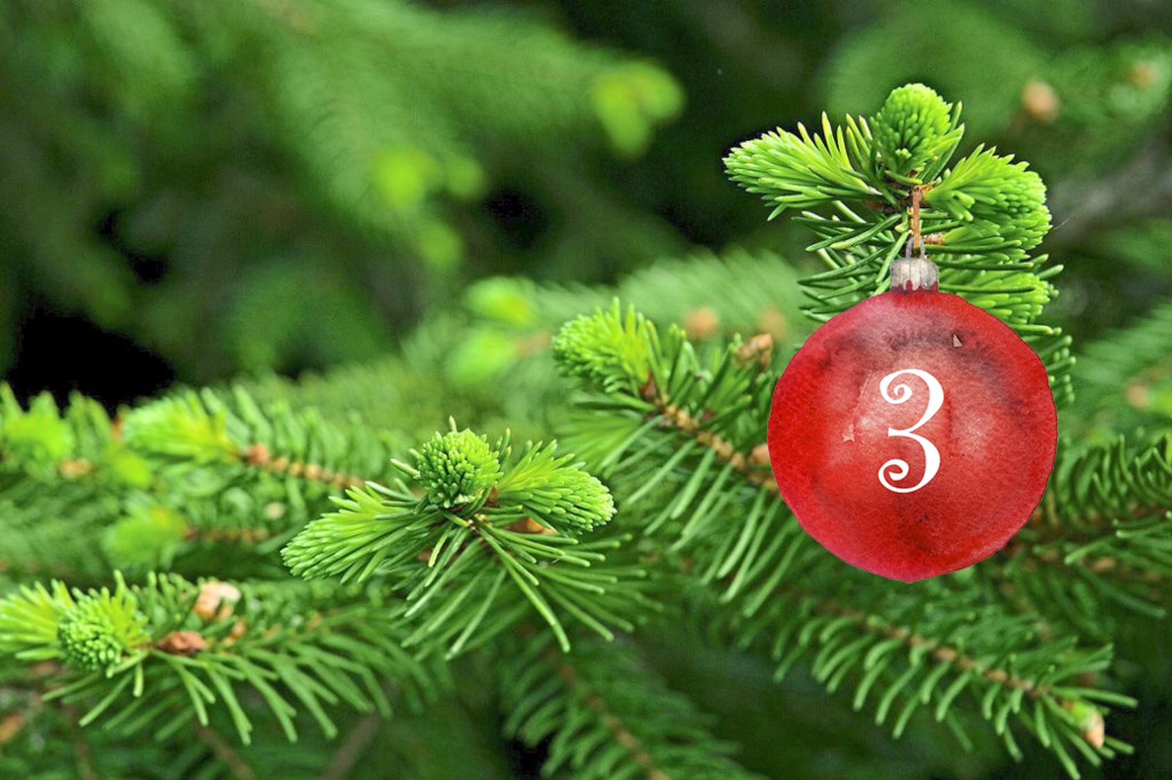 2 Fotos: Ski-Club auf der Loipe in der »Breiten«, 1991