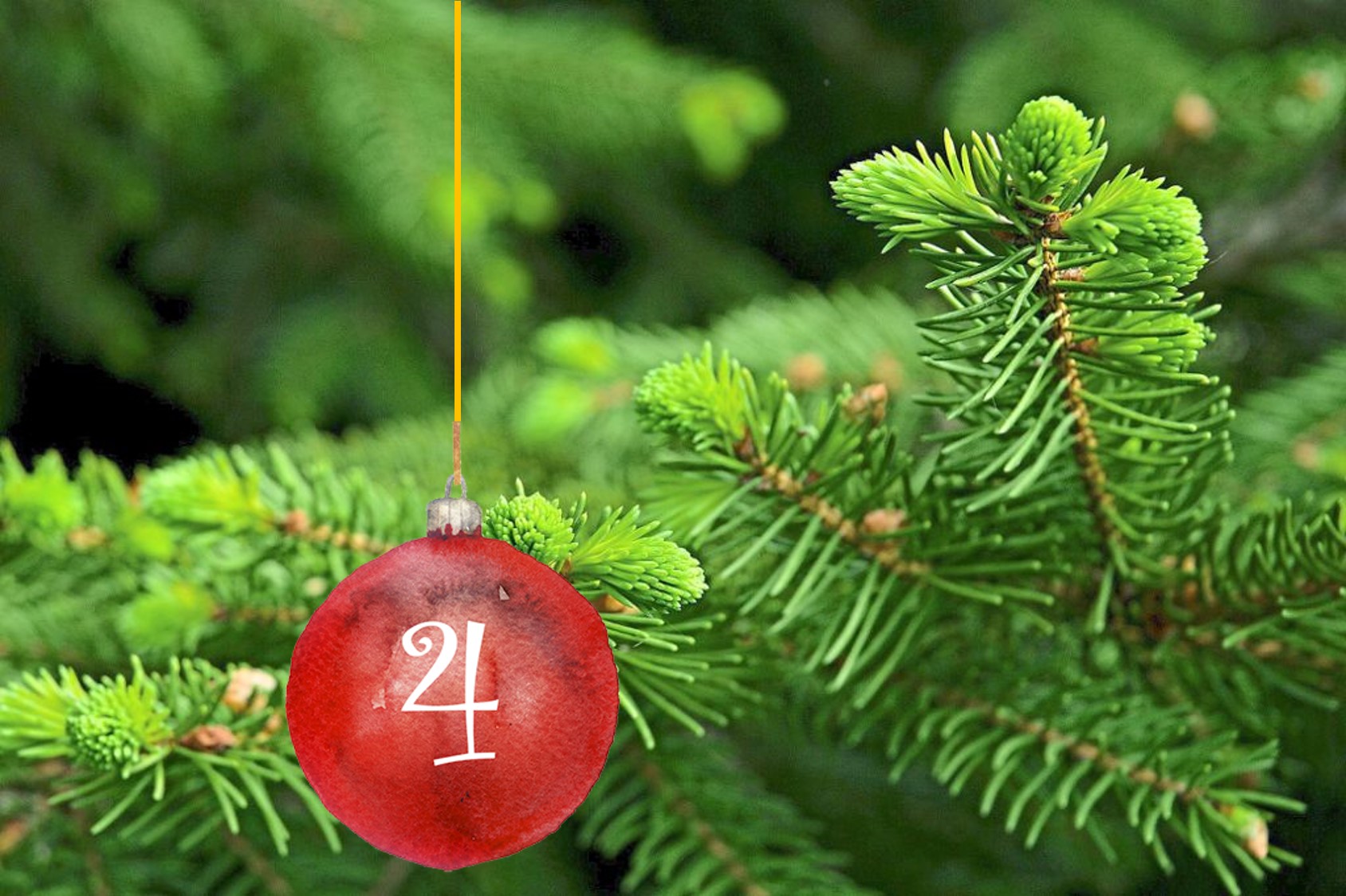 3 Fotos: Tanzstunde im Haus Adrion in der Alenbergstraße, ca. 1952