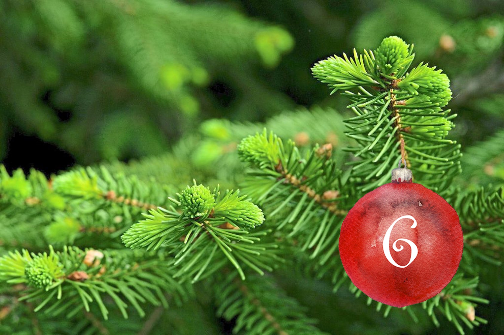 Klassentreffen des Jahrgangs 1951/52 am Demetriusbrunnen, 2001