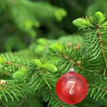 4 Fotos: Einschulung in der Turnhalle, 1971