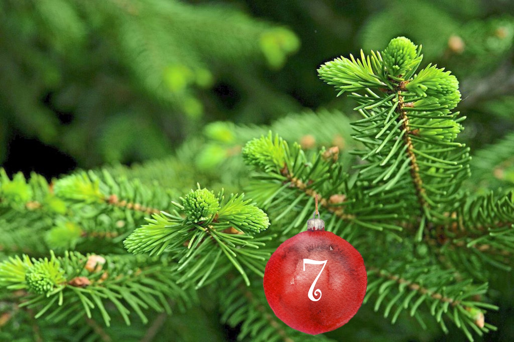 4 Fotos: Einschulung in der Turnhalle, 1971