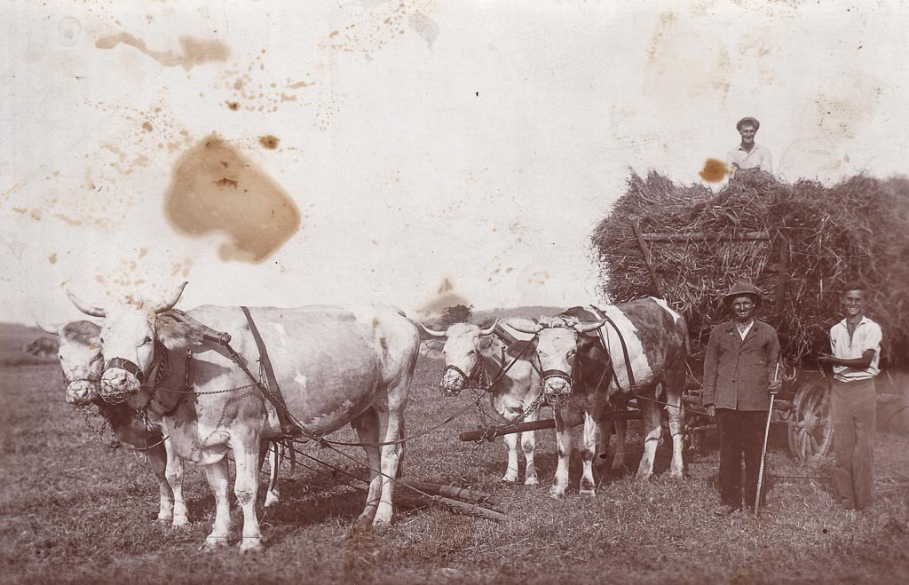 Familie Rosenstiel mit Heuwagen, ca. 1933/34